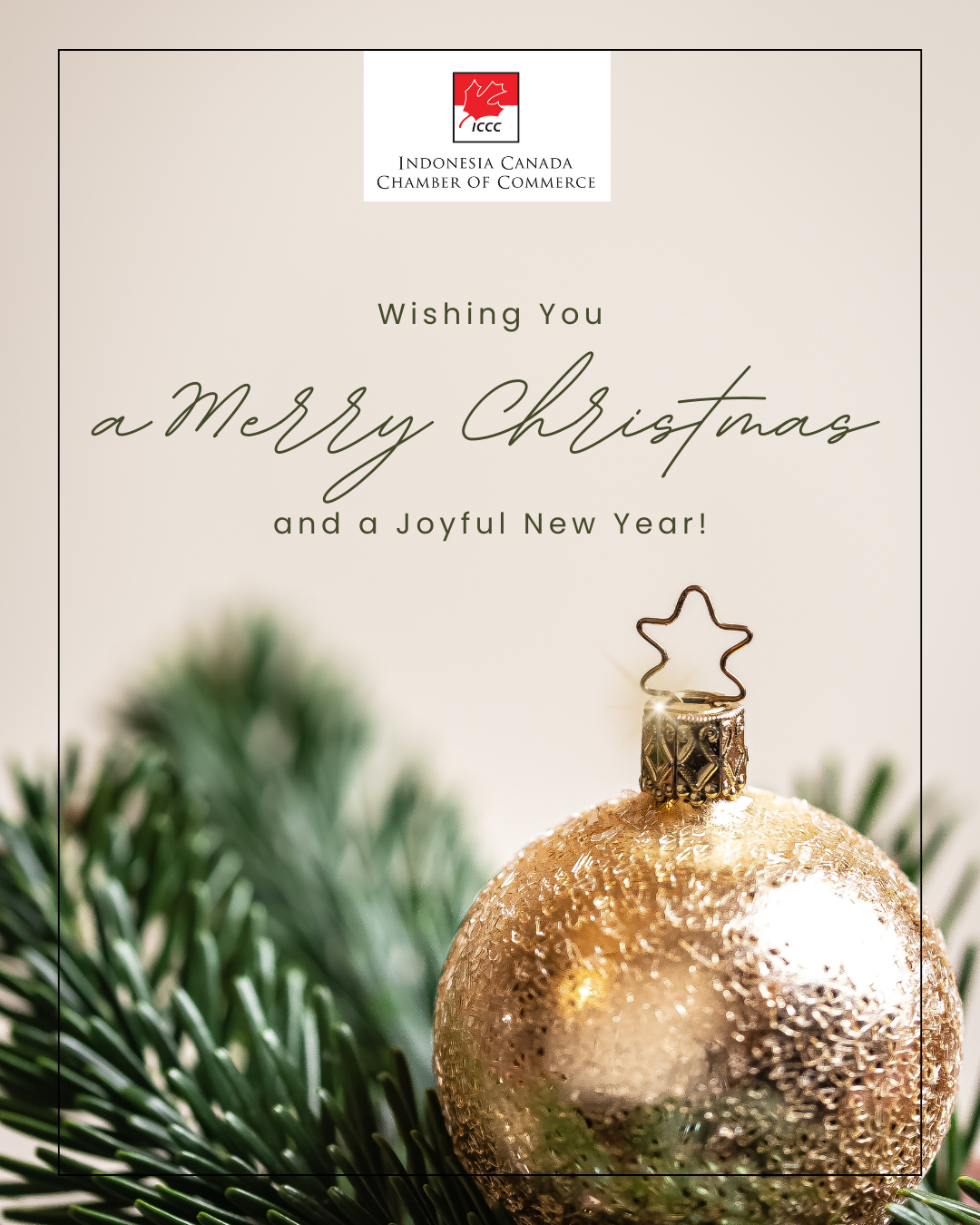 Wishing You a Merry Christmas and a Joyful New Year