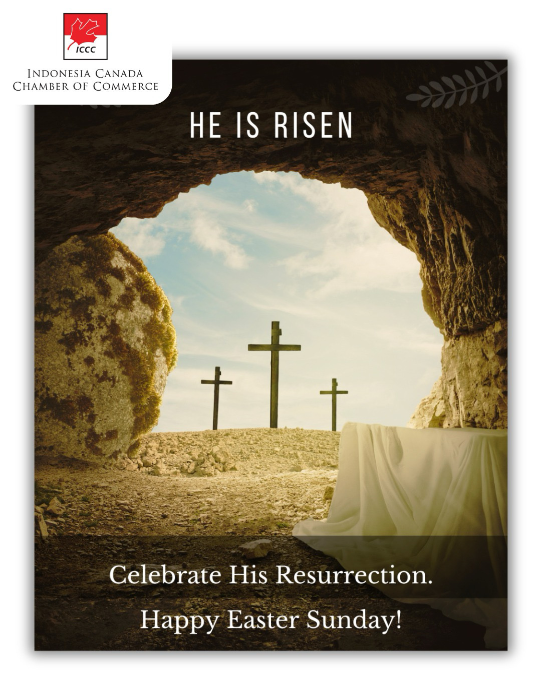 5D4C732F-C9A2-4B8F-9259-BF9EA9604CDE